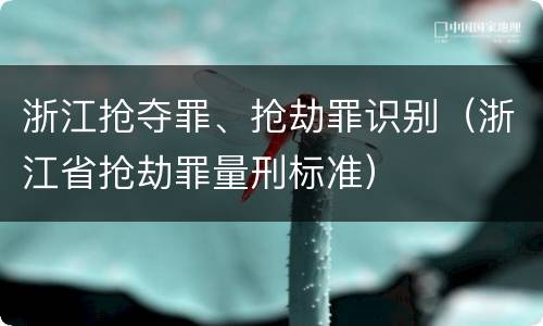 浙江抢夺罪、抢劫罪识别（浙江省抢劫罪量刑标准）