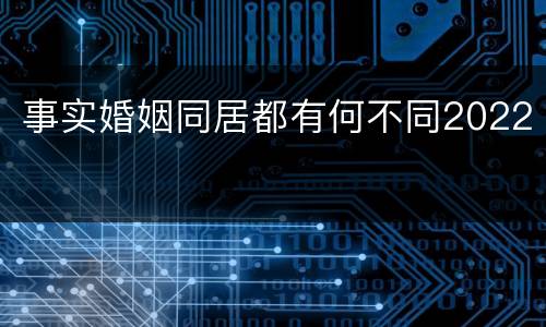 事实婚姻同居都有何不同2022