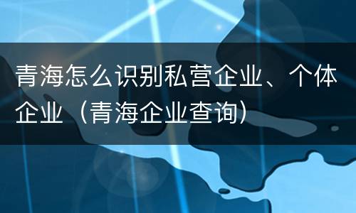 青海怎么识别私营企业、个体企业（青海企业查询）
