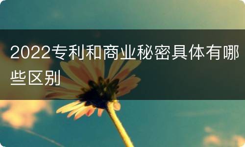 2022专利和商业秘密具体有哪些区别