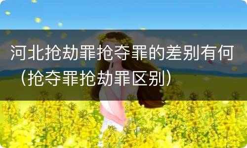 河北抢劫罪抢夺罪的差别有何（抢夺罪抢劫罪区别）