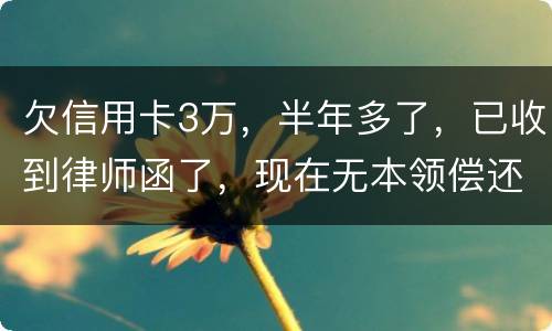欠信用卡3万，半年多了，已收到律师函了，现在无本领偿还要怎样办