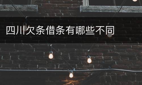 四川欠条借条有哪些不同