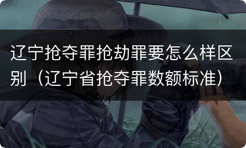 辽宁抢夺罪抢劫罪要怎么样区别（辽宁省抢夺罪数额标准）