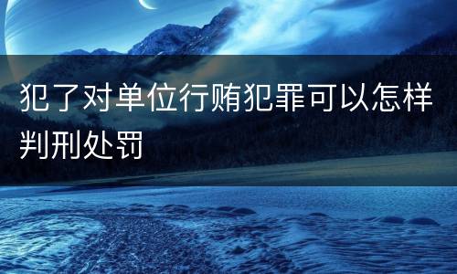 犯了对单位行贿犯罪可以怎样判刑处罚