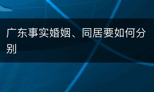 广东事实婚姻、同居要如何分别