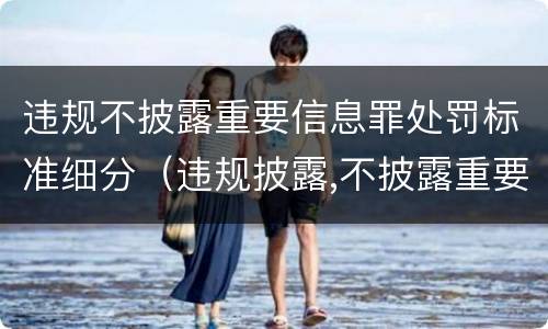 违规不披露重要信息罪处罚标准细分（违规披露,不披露重要信息罪的立案标准）