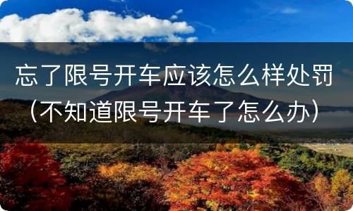 忘了限号开车应该怎么样处罚（不知道限号开车了怎么办）