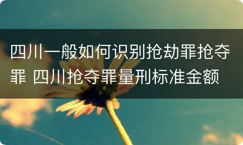 四川一般如何识别抢劫罪抢夺罪 四川抢夺罪量刑标准金额