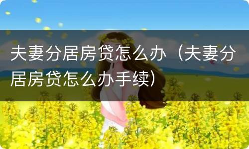 夫妻分居房贷怎么办（夫妻分居房贷怎么办手续）