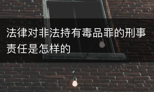 法律对非法持有毒品罪的刑事责任是怎样的
