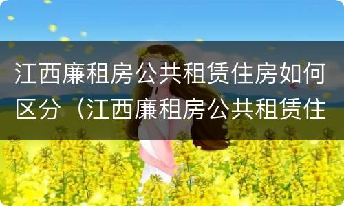 江西廉租房公共租赁住房如何区分（江西廉租房公共租赁住房如何区分等级）
