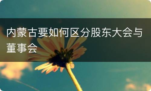 内蒙古要如何区分股东大会与董事会