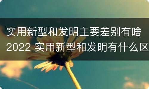 实用新型和发明主要差别有啥2022 实用新型和发明有什么区别