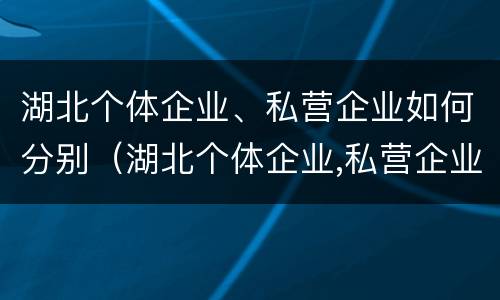 湖北个体企业、私营企业如何分别（湖北个体企业,私营企业如何分别纳税）