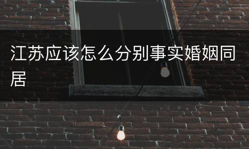 江苏应该怎么分别事实婚姻同居
