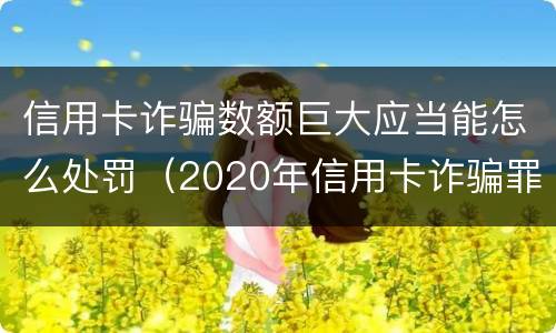 信用卡诈骗数额巨大应当能怎么处罚（2020年信用卡诈骗罪数额标准）