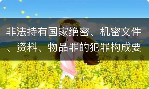 非法持有国家绝密、机密文件、资料、物品罪的犯罪构成要件指的是什么