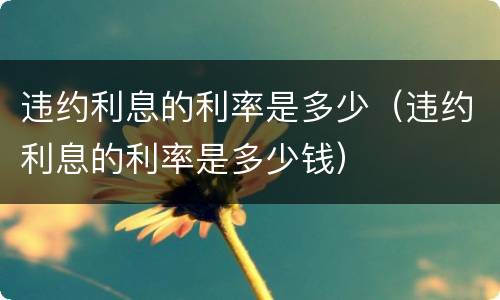 违约利息的利率是多少（违约利息的利率是多少钱）