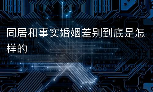 同居和事实婚姻差别到底是怎样的