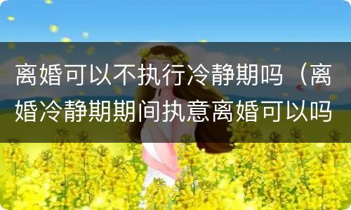 离婚可以不执行冷静期吗（离婚冷静期期间执意离婚可以吗）