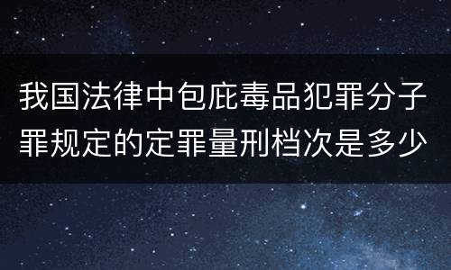 我国法律中包庇毒品犯罪分子罪规定的定罪量刑档次是多少