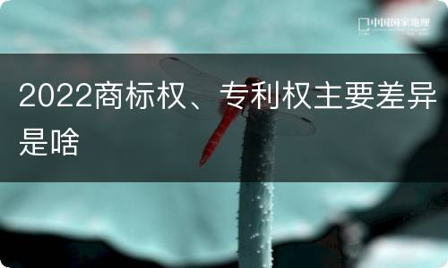 2022商标权、专利权主要差异是啥