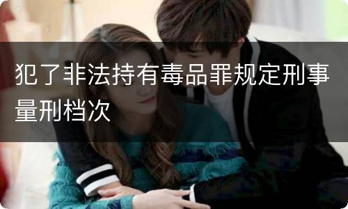 犯了非法持有毒品罪规定刑事量刑档次