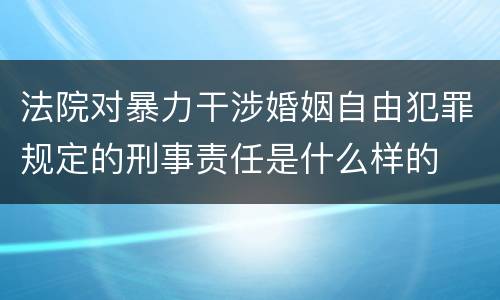 法院对暴力干涉婚姻自由犯罪规定的刑事责任是什么样的