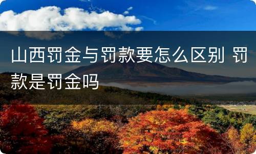 山西罚金与罚款要怎么区别 罚款是罚金吗