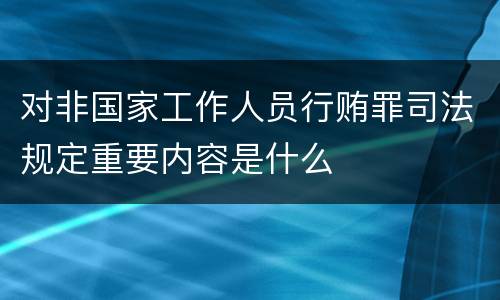 对非国家工作人员行贿罪司法规定重要内容是什么