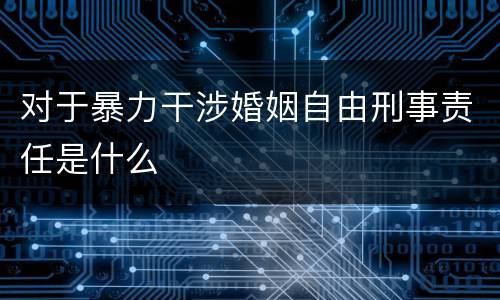 对于暴力干涉婚姻自由刑事责任是什么