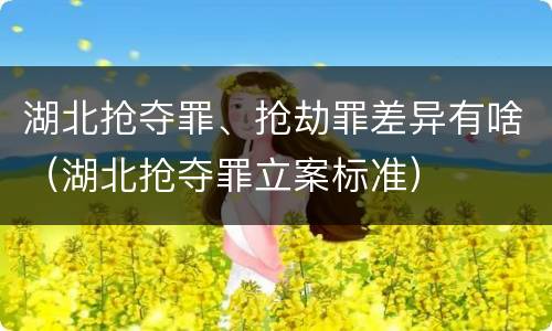 湖北抢夺罪、抢劫罪差异有啥（湖北抢夺罪立案标准）