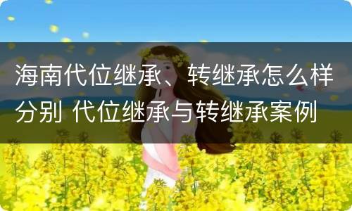 海南代位继承、转继承怎么样分别 代位继承与转继承案例