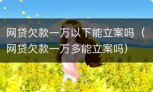 网贷欠款一万以下能立案吗（网贷欠款一万多能立案吗）