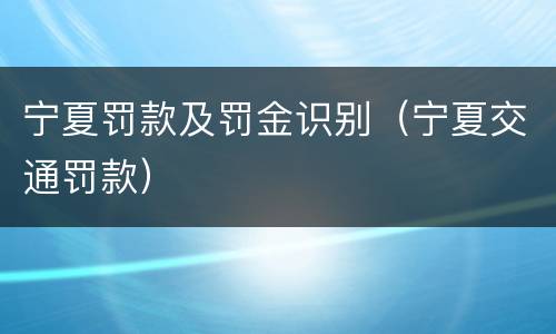 宁夏罚款及罚金识别（宁夏交通罚款）