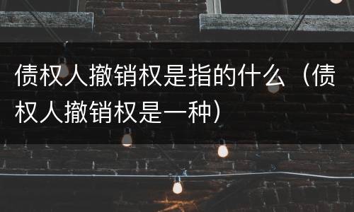 债权人撤销权是指的什么（债权人撤销权是一种）