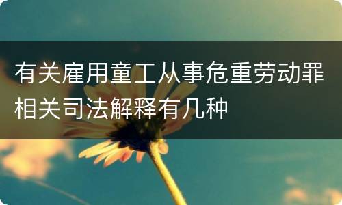 有关雇用童工从事危重劳动罪相关司法解释有几种
