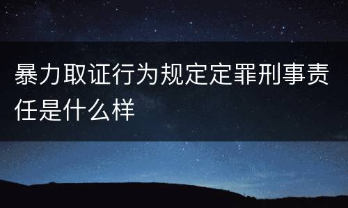 暴力取证行为规定定罪刑事责任是什么样