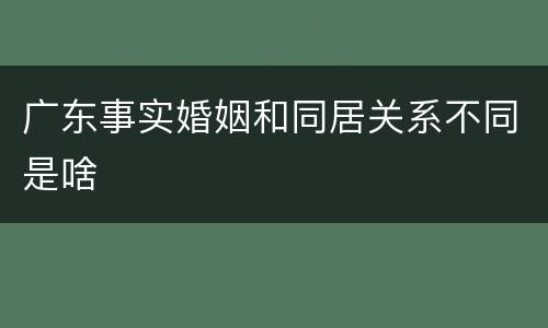 广东事实婚姻和同居关系不同是啥