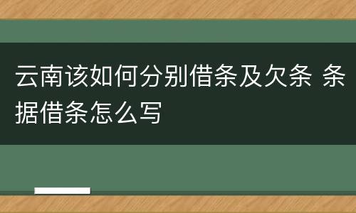 云南该如何分别借条及欠条 条据借条怎么写