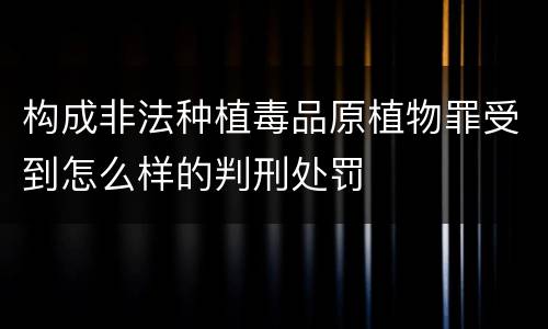构成非法种植毒品原植物罪受到怎么样的判刑处罚