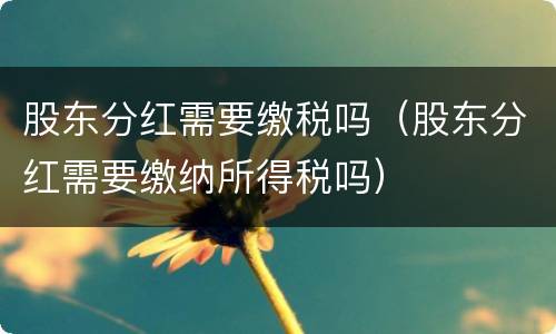 股东分红需要缴税吗（股东分红需要缴纳所得税吗）