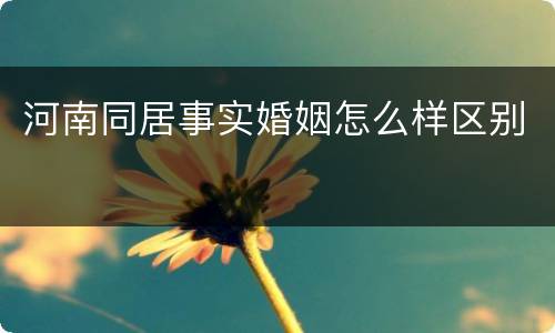 河南同居事实婚姻怎么样区别