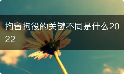 拘留拘役的关键不同是什么2022
