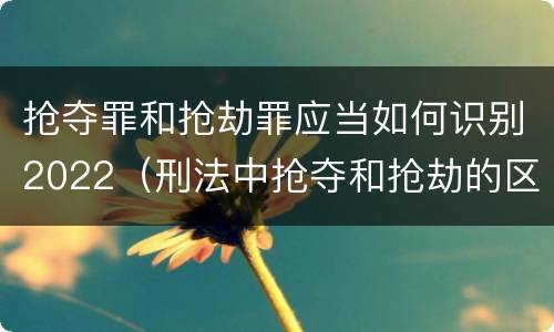 抢夺罪和抢劫罪应当如何识别2022（刑法中抢夺和抢劫的区别）