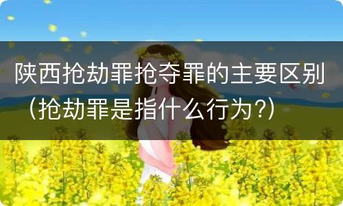 陕西抢劫罪抢夺罪的主要区别（抢劫罪是指什么行为?）