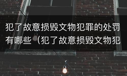 犯了故意损毁文物犯罪的处罚有哪些（犯了故意损毁文物犯罪的处罚有哪些呢）