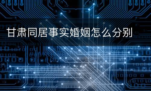 甘肃同居事实婚姻怎么分别