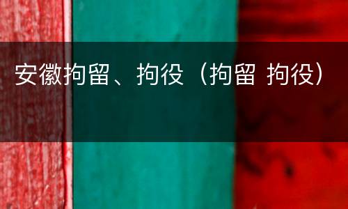 安徽拘留、拘役（拘留 拘役）